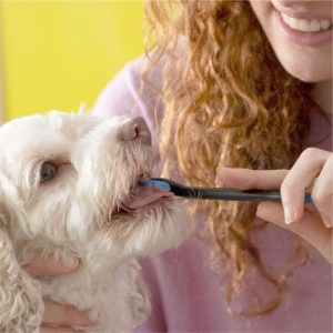 BrushMate Pet Toothbrush