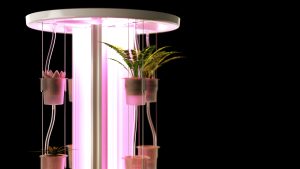 The Hydroponic Tower Design