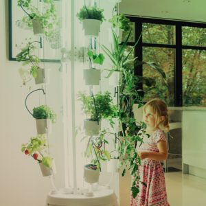 The Hydroponic Tower in use